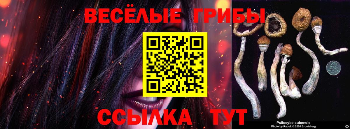 Минусинск  Галлюциногенные грибы прущие грибы  Галлюциногенные грибы Cubensis  Вход с VPN 